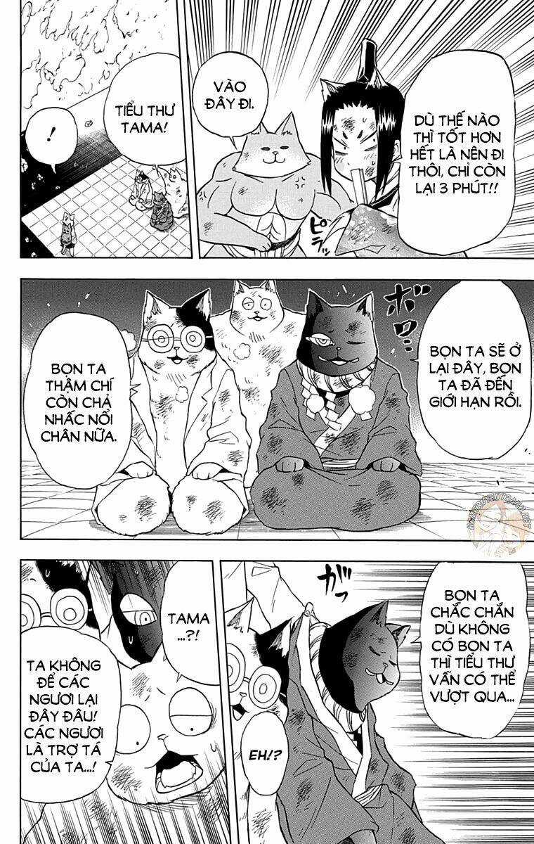 Nekowappa! Chapter 13 trang 8