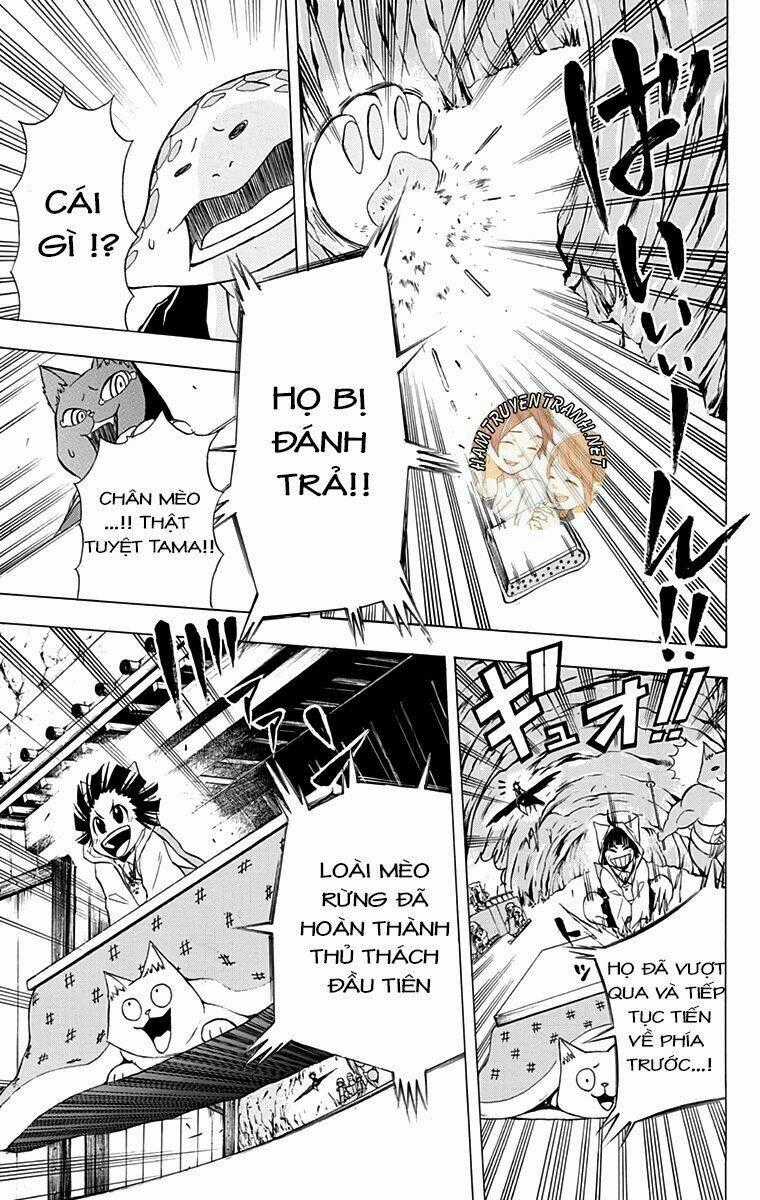 Nekowappa! Chapter 9 trang 18