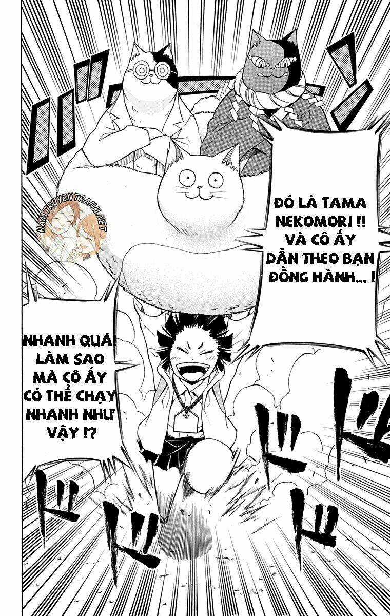 Nekowappa! Chapter 9 trang 7