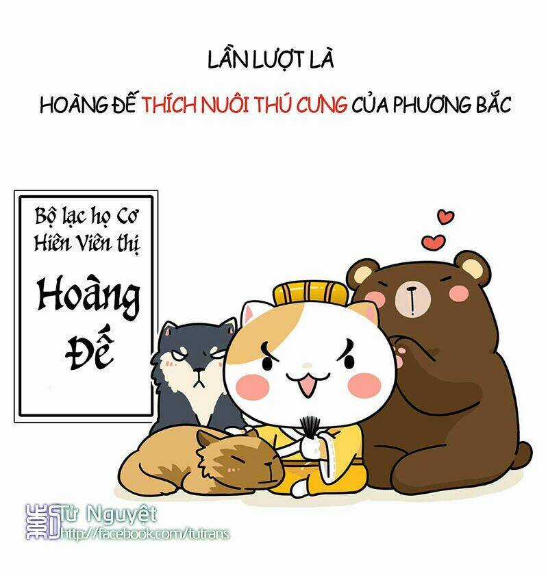 Nếu Lịch Sử Là Một Bầy Mèo Chapter 1 trang 12