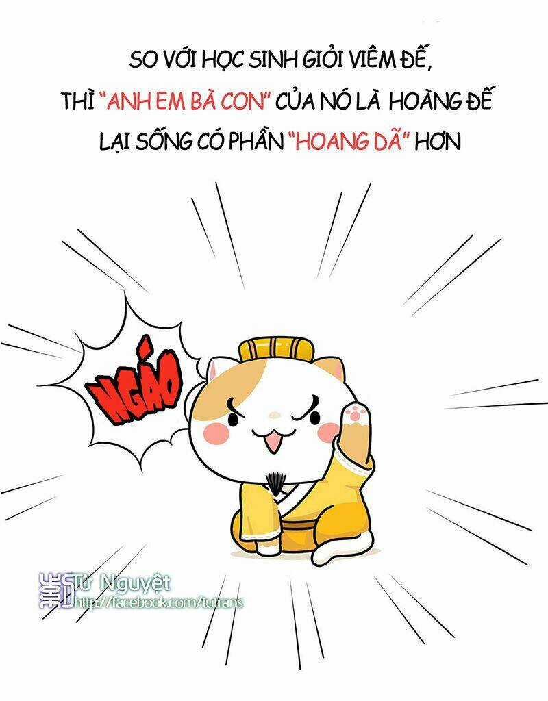 Nếu Lịch Sử Là Một Bầy Mèo Chapter 1 trang 22