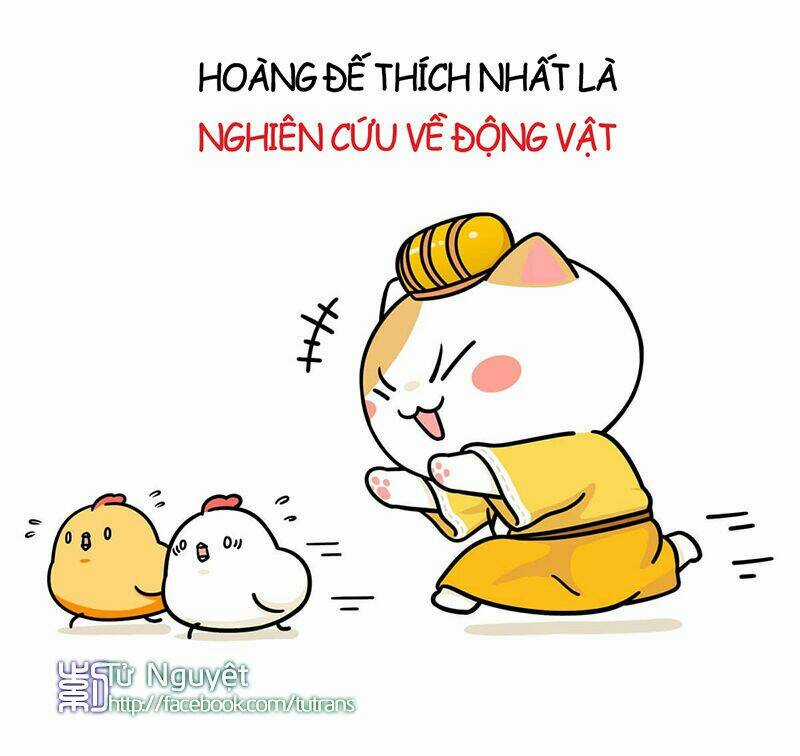 Nếu Lịch Sử Là Một Bầy Mèo Chapter 1 trang 23