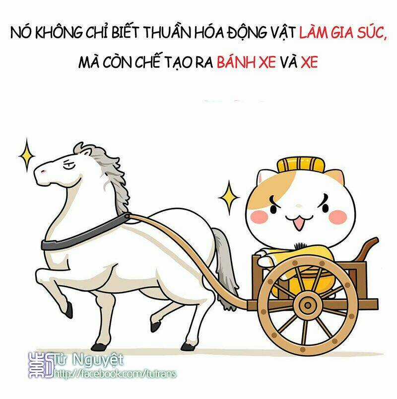 Nếu Lịch Sử Là Một Bầy Mèo Chapter 1 trang 24