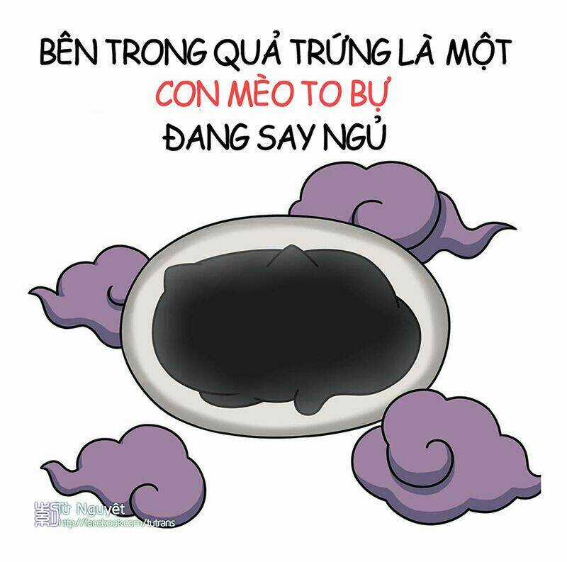 Nếu Lịch Sử Là Một Bầy Mèo Chapter 1 trang 4