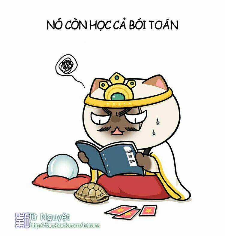 Nếu Lịch Sử Là Một Bầy Mèo Chapter 10 trang 26