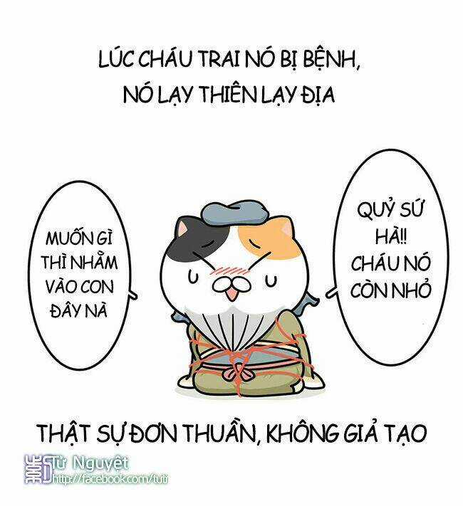 Nếu Lịch Sử Là Một Bầy Mèo Chapter 12 trang 14