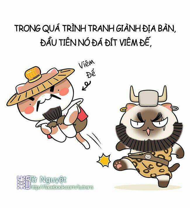 Nếu Lịch Sử Là Một Bầy Mèo Chapter 2 trang 6