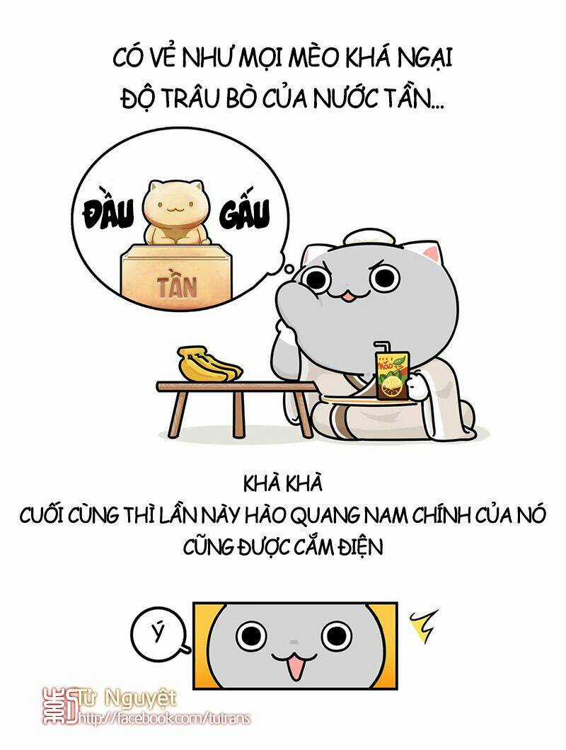 Nếu Lịch Sử Là Một Bầy Mèo Chapter 21 trang 22