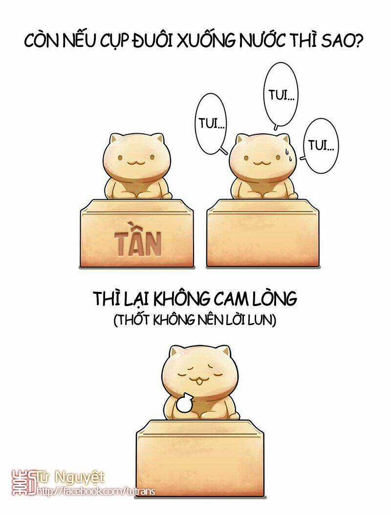 Nếu Lịch Sử Là Một Bầy Mèo Chapter 21 trang 7