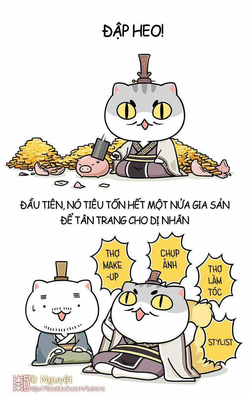 Nếu Lịch Sử Là Một Bầy Mèo Chapter 24 trang 14