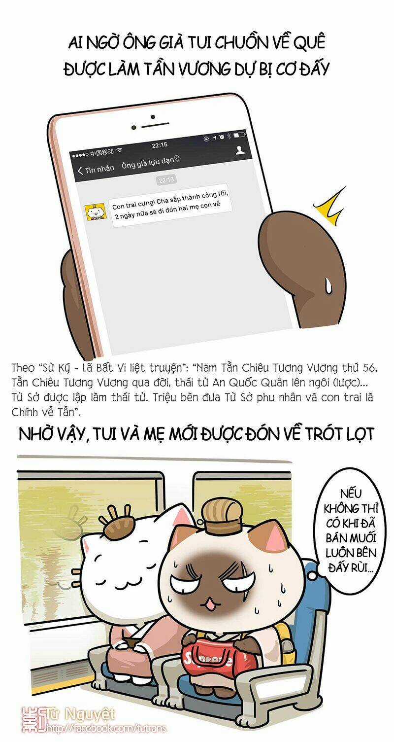 Nếu Lịch Sử Là Một Bầy Mèo Chapter 25 trang 11