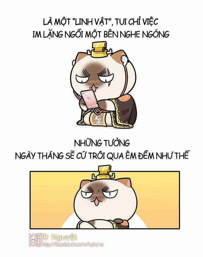 Nếu Lịch Sử Là Một Bầy Mèo Chapter 25 trang 21