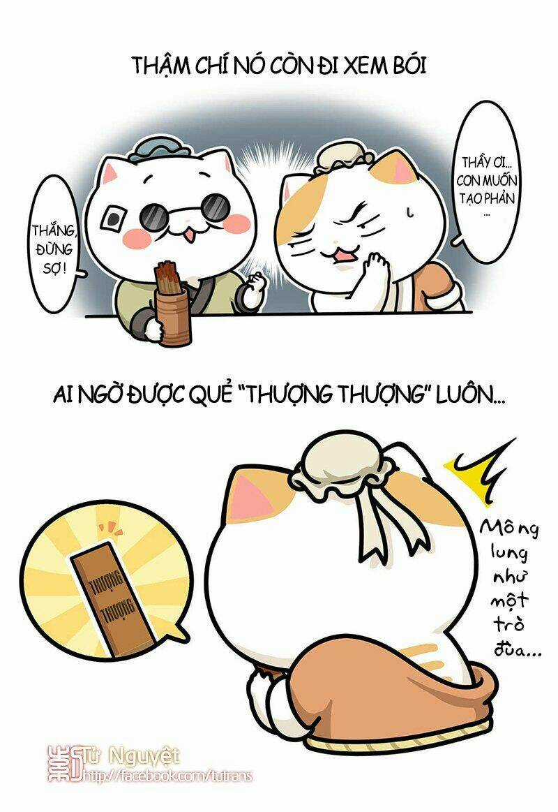 Nếu Lịch Sử Là Một Bầy Mèo Chapter 28 trang 11