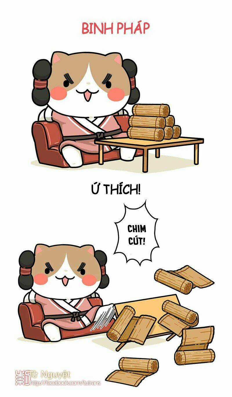 Nếu Lịch Sử Là Một Bầy Mèo Chapter 29 trang 13