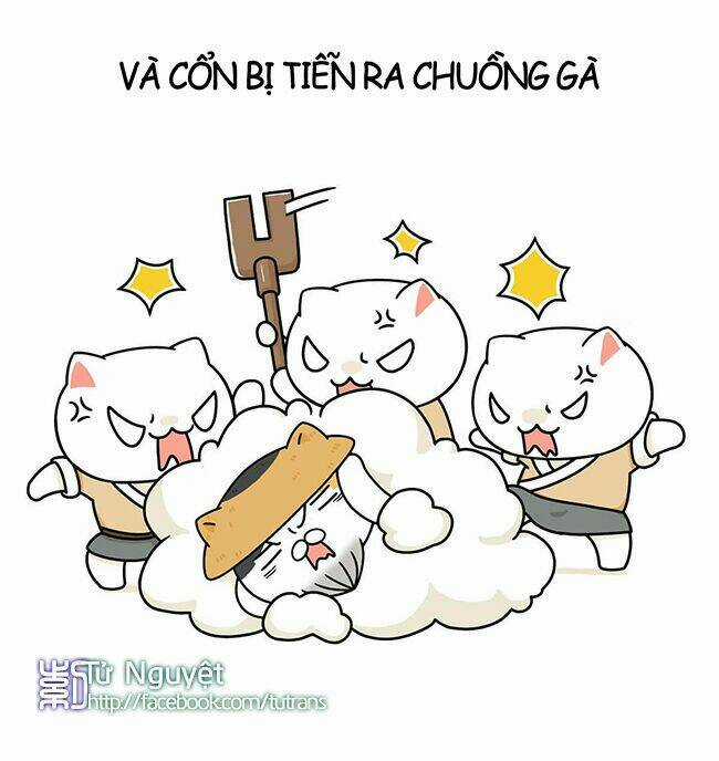 Nếu Lịch Sử Là Một Bầy Mèo Chapter 4 trang 12