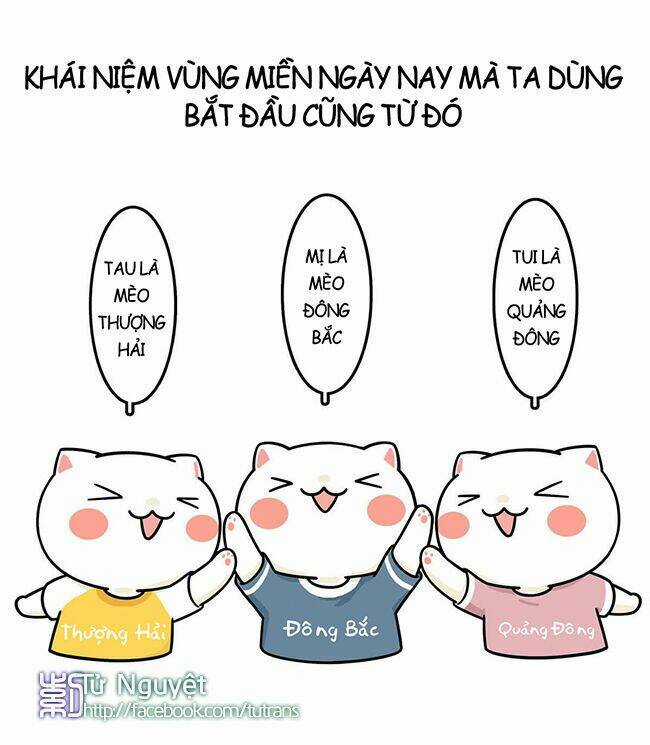 Nếu Lịch Sử Là Một Bầy Mèo Chapter 4 trang 25