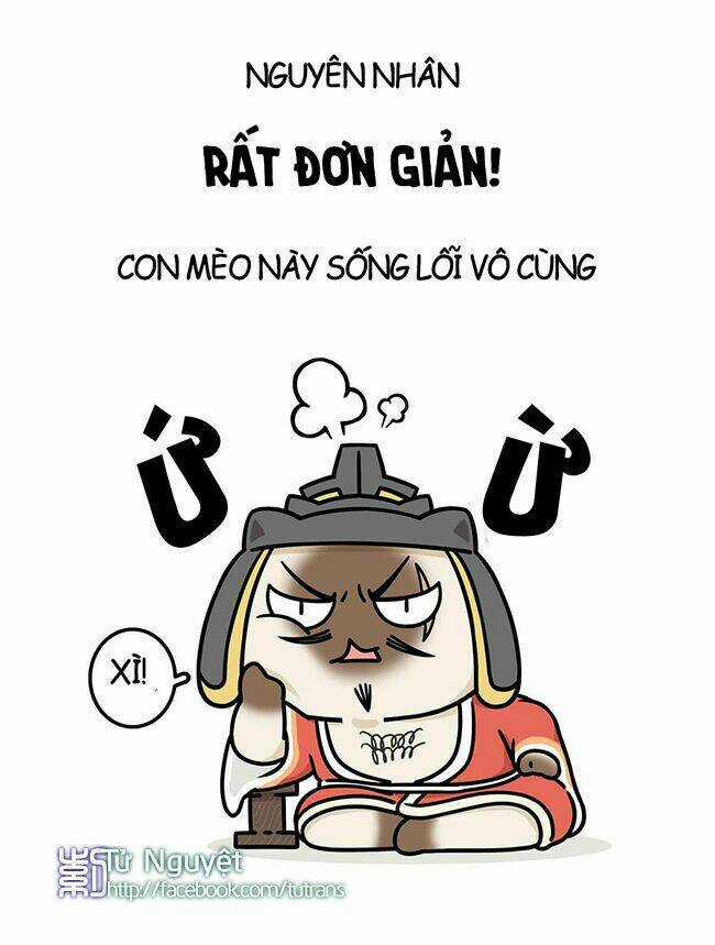 Nếu Lịch Sử Là Một Bầy Mèo Chapter 7 trang 15