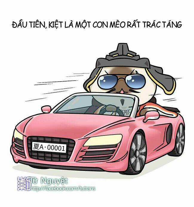 Nếu Lịch Sử Là Một Bầy Mèo Chapter 7 trang 16