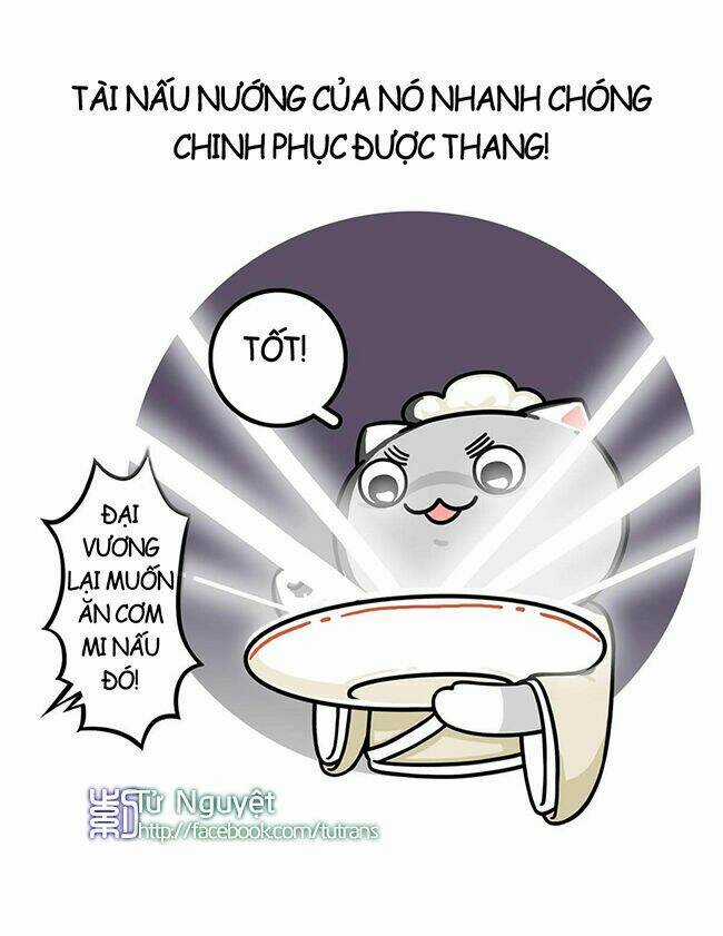 Nếu Lịch Sử Là Một Bầy Mèo Chapter 8 trang 16
