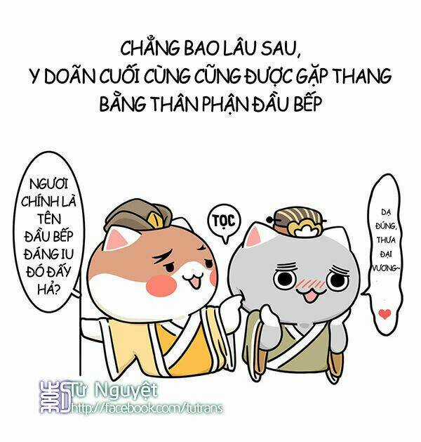 Nếu Lịch Sử Là Một Bầy Mèo Chapter 8 trang 17