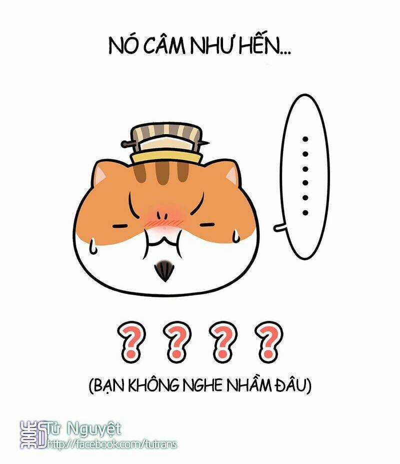 Nếu Lịch Sử Là Một Bầy Mèo Chapter 9 trang 14