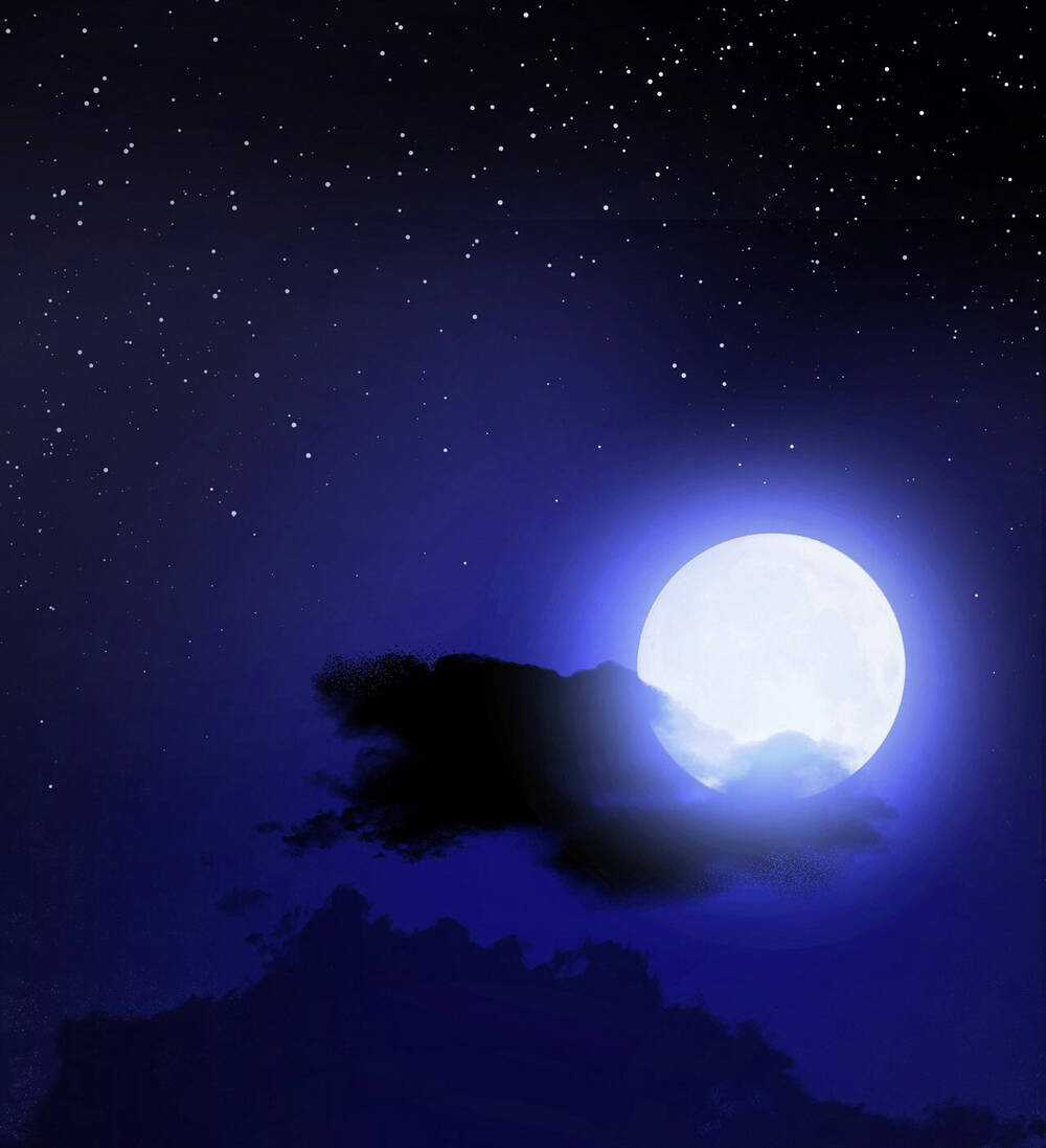 Nếu Ngài Cần Một Người Em Gái Giả Chapter 1.1 trang 9