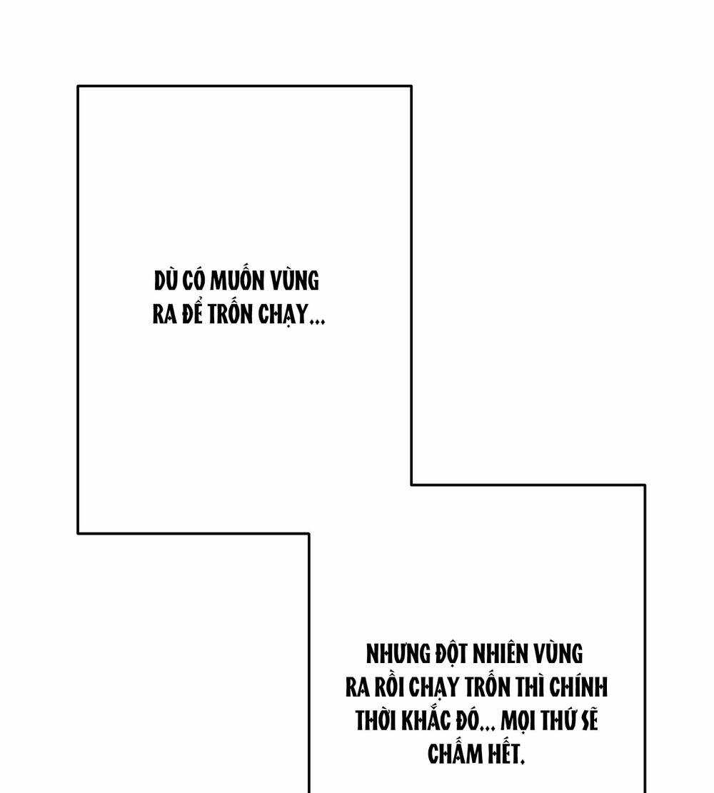 Nếu Ngài Cần Một Người Em Gái Giả Chapter 10.1 trang 30