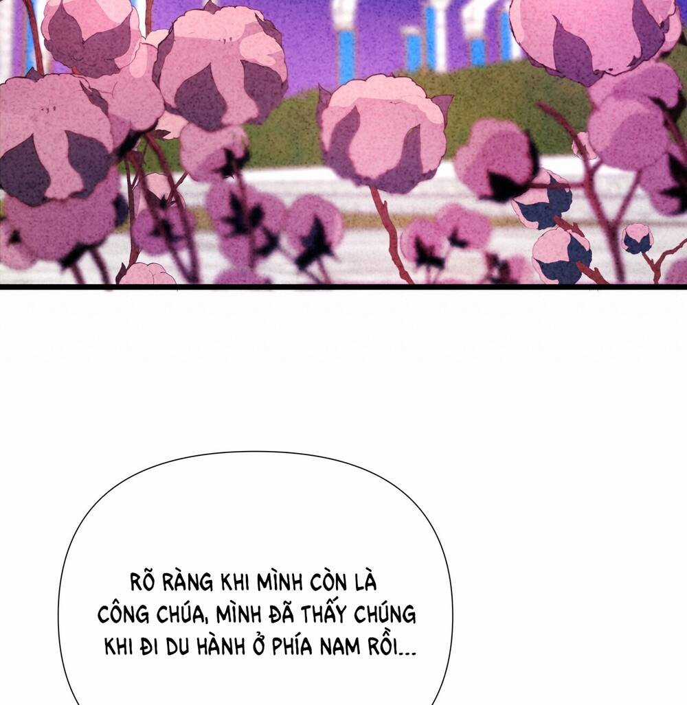 Nếu Ngài Cần Một Người Em Gái Giả Chapter 10.2 trang 42