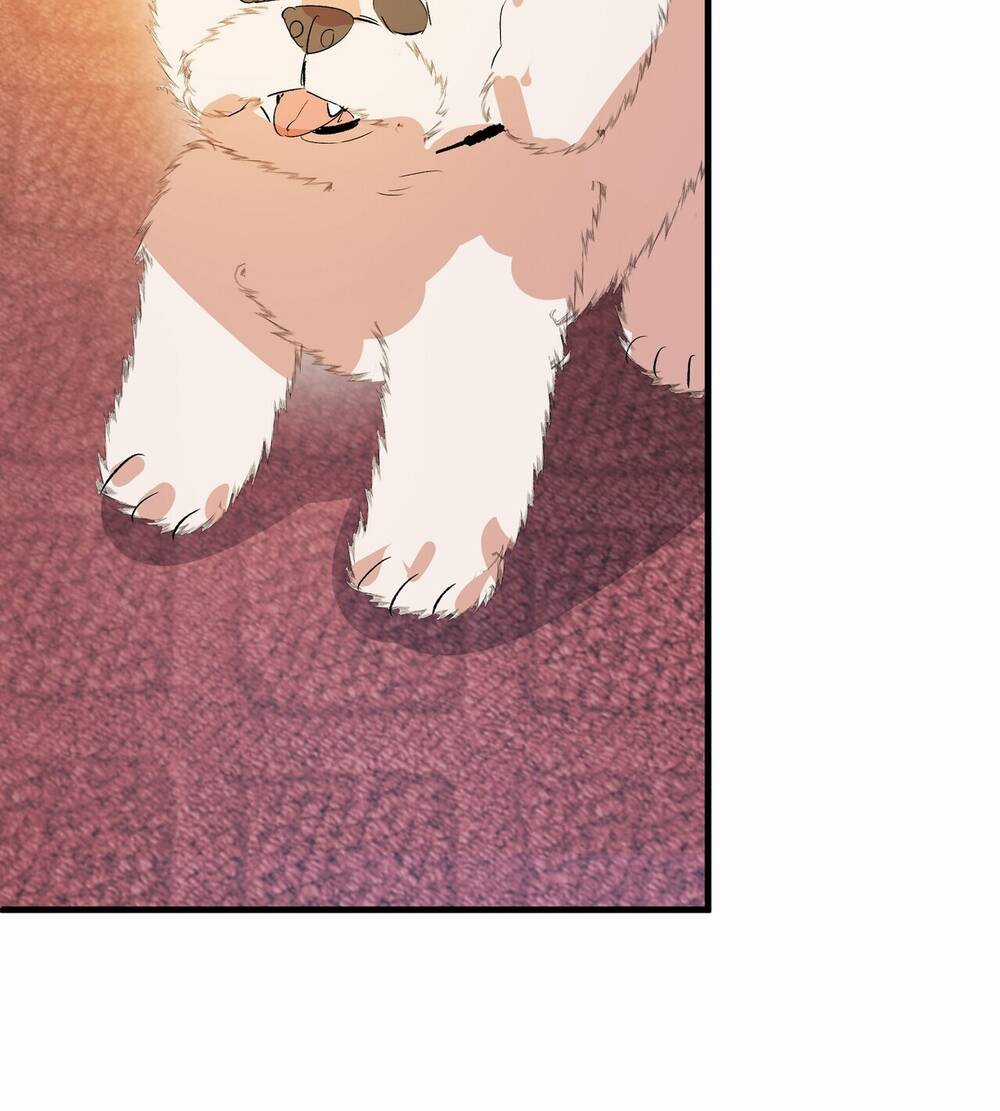 Nếu Ngài Cần Một Người Em Gái Giả Chapter 13.1 trang 25