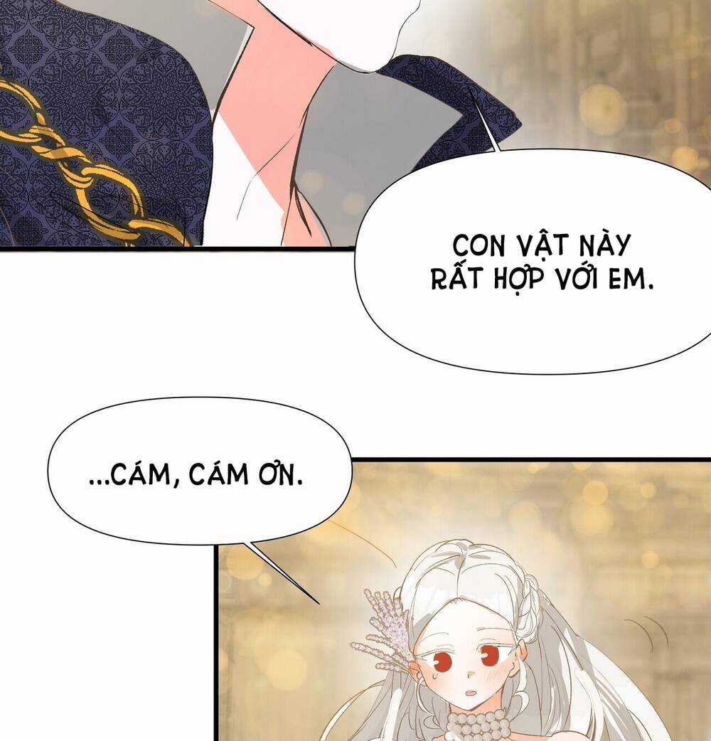 Nếu Ngài Cần Một Người Em Gái Giả Chapter 7.1 trang 16