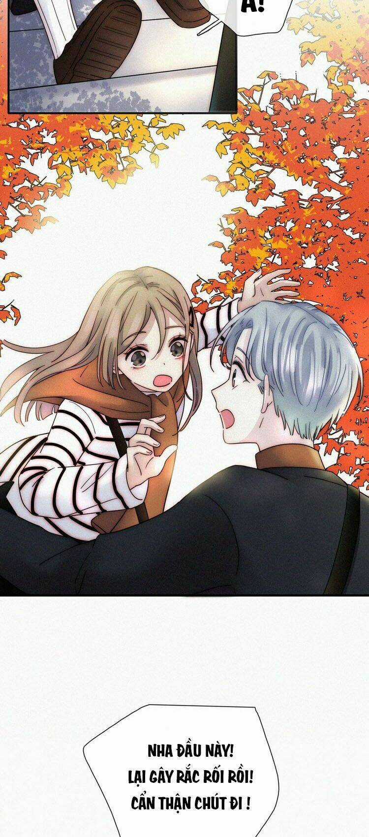 Nếu Ngày Đó Chúng Ta Chưa Quen Biết Chapter 10 trang 15