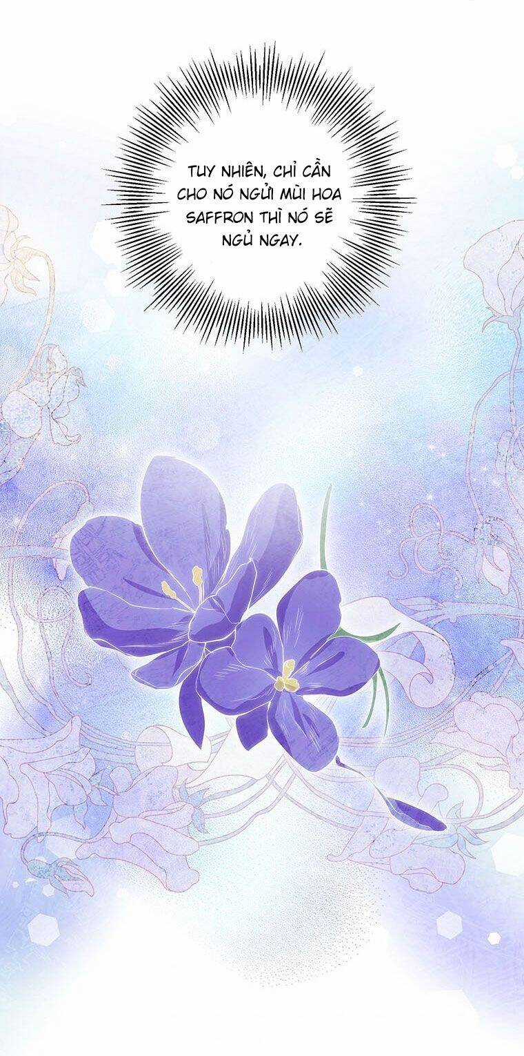 Nếu Tháo Đi Lớp Mặt Nạ Tử Tế Của Nam Chính Chapter 13 trang 28