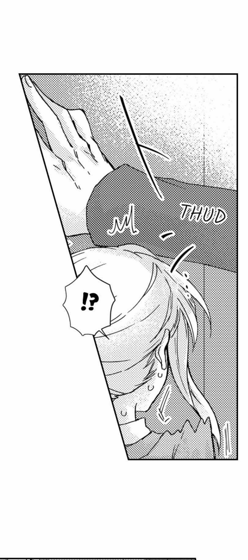 Nếu Tôi Không Nghe Lời Công Tước Chapter 19.3 trang 3