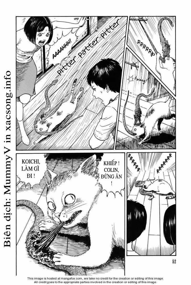 New Voices In The Dark Chapter 2 trang 16