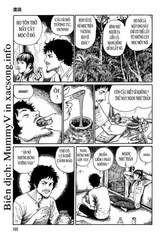 New Voices In The Dark Chapter 7 trang 3