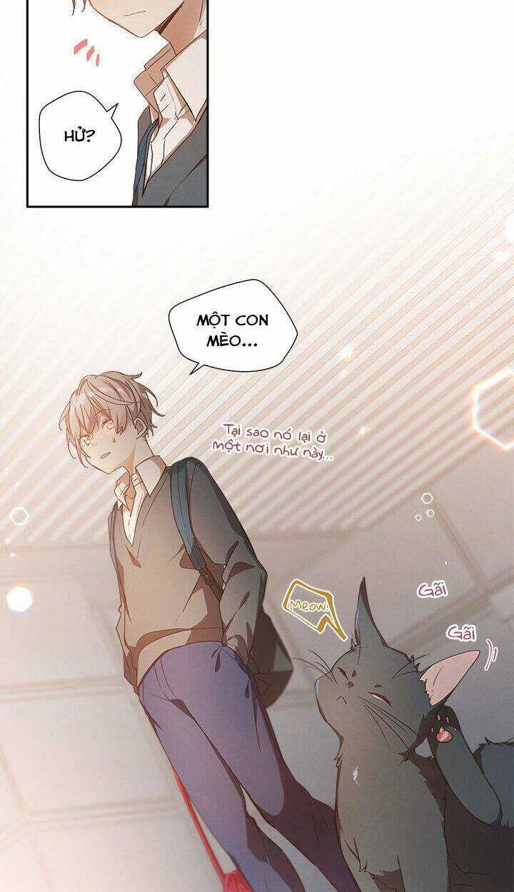 Newton's Flower Buds Webtoon Chapter 31 trang 18