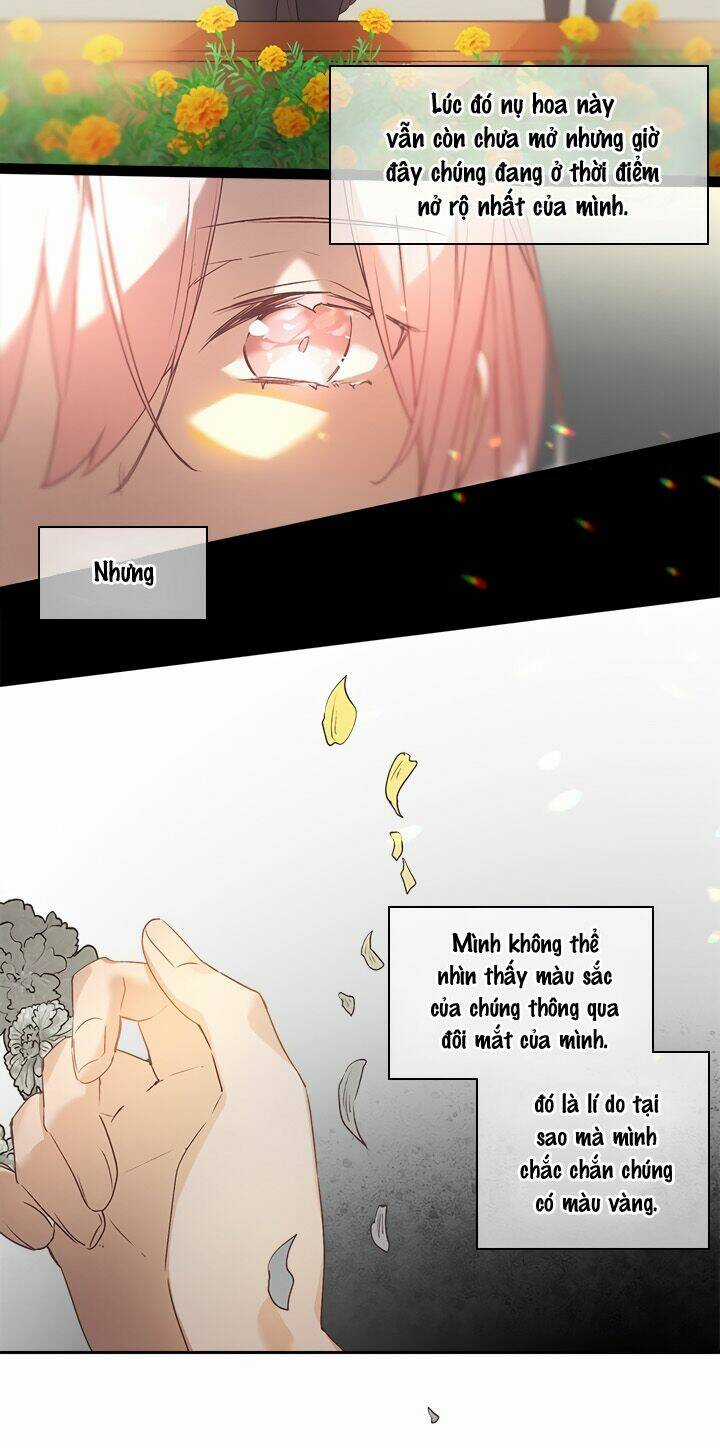 Newton's Flower Buds Webtoon Chapter 44 trang 13
