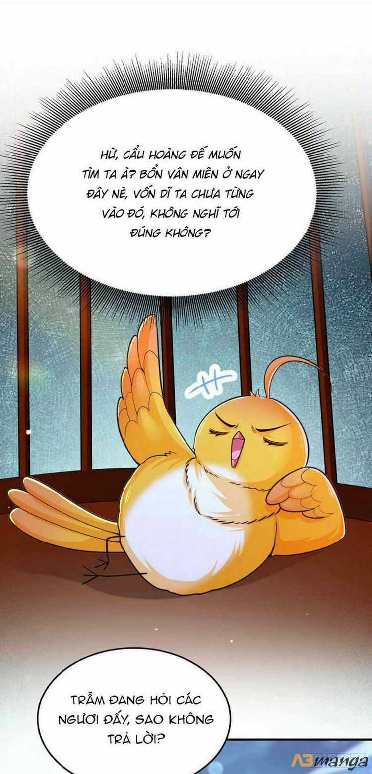 Ngã Tại Hậu Cung Đương Đại Lão Chapter 100 trang 23