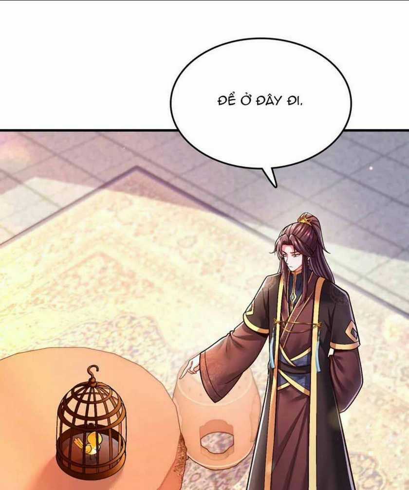 Ngã Tại Hậu Cung Đương Đại Lão Chapter 104 trang 1