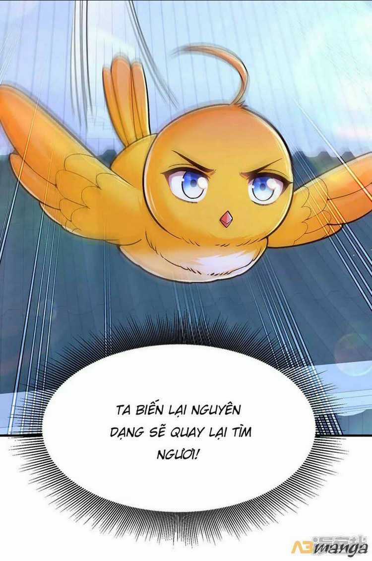 Ngã Tại Hậu Cung Đương Đại Lão Chapter 104 trang 28