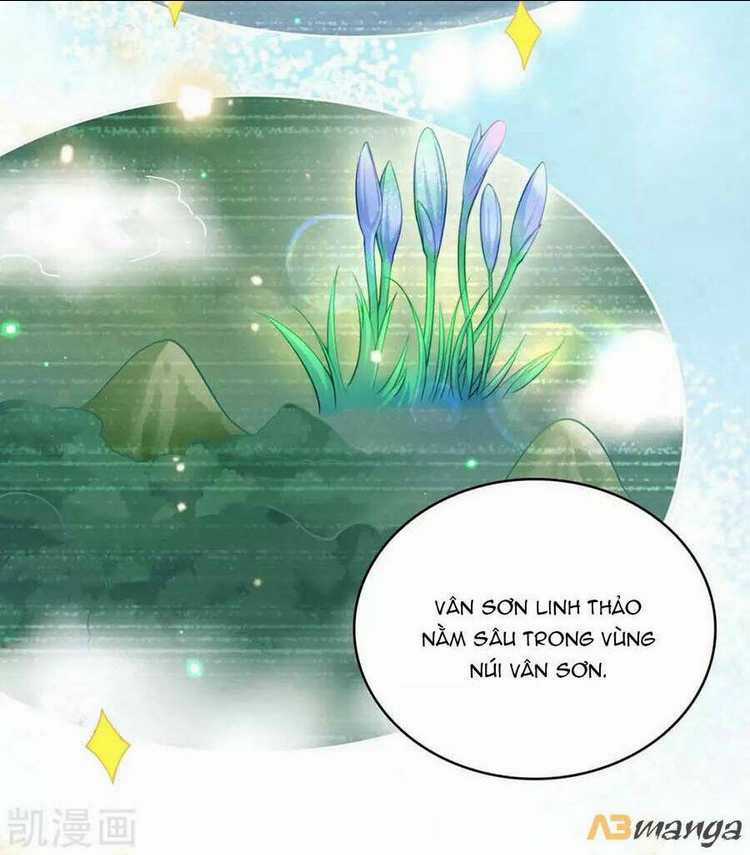 Ngã Tại Hậu Cung Đương Đại Lão Chapter 114 trang 17