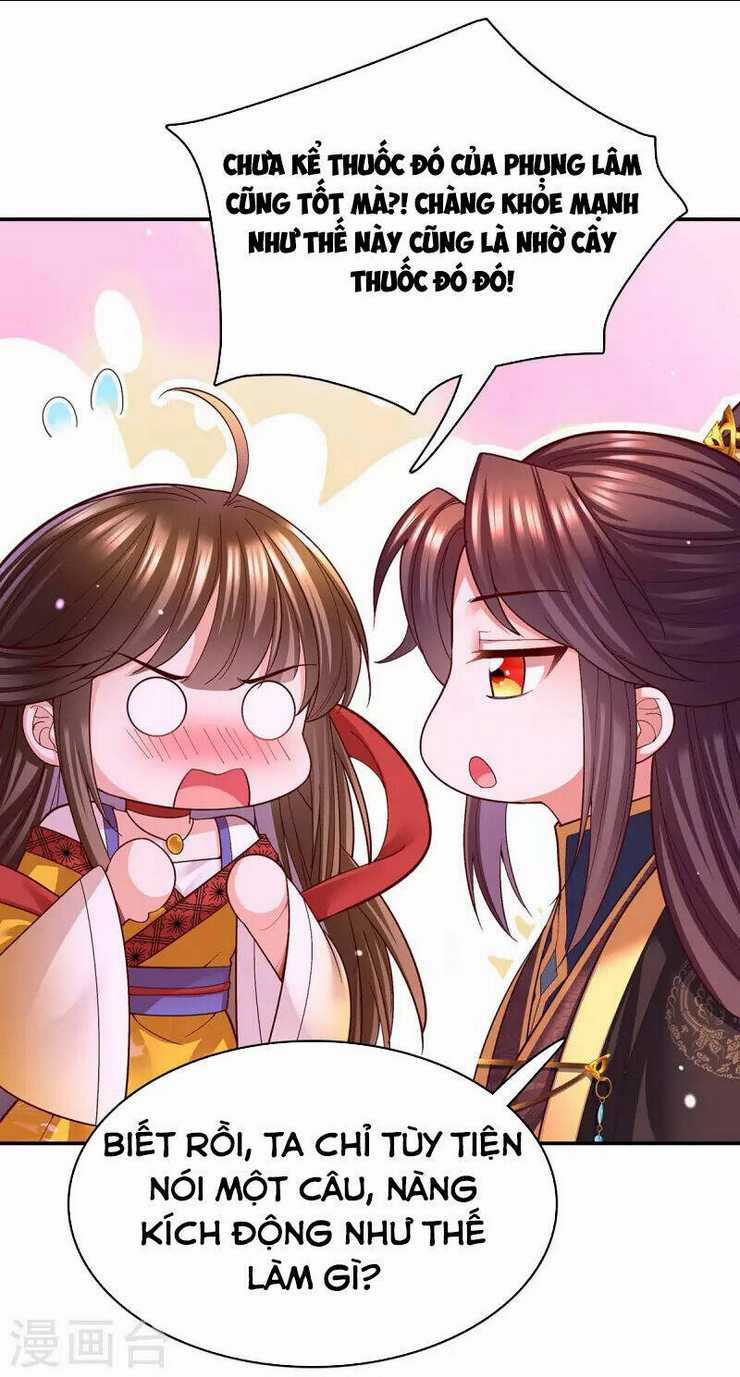 Ngã Tại Hậu Cung Đương Đại Lão Chapter 117 trang 5