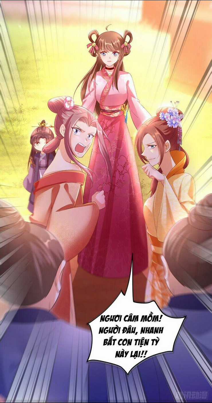 Ngã Tại Hậu Cung Đương Đại Lão Chapter 25 trang 13