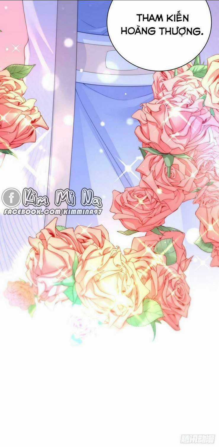 Ngã Tại Hậu Cung Đương Đại Lão Chapter 38 trang 33