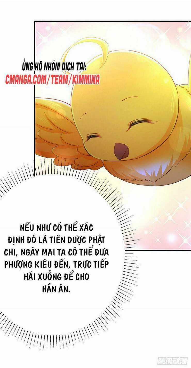 Ngã Tại Hậu Cung Đương Đại Lão Chapter 49 trang 6