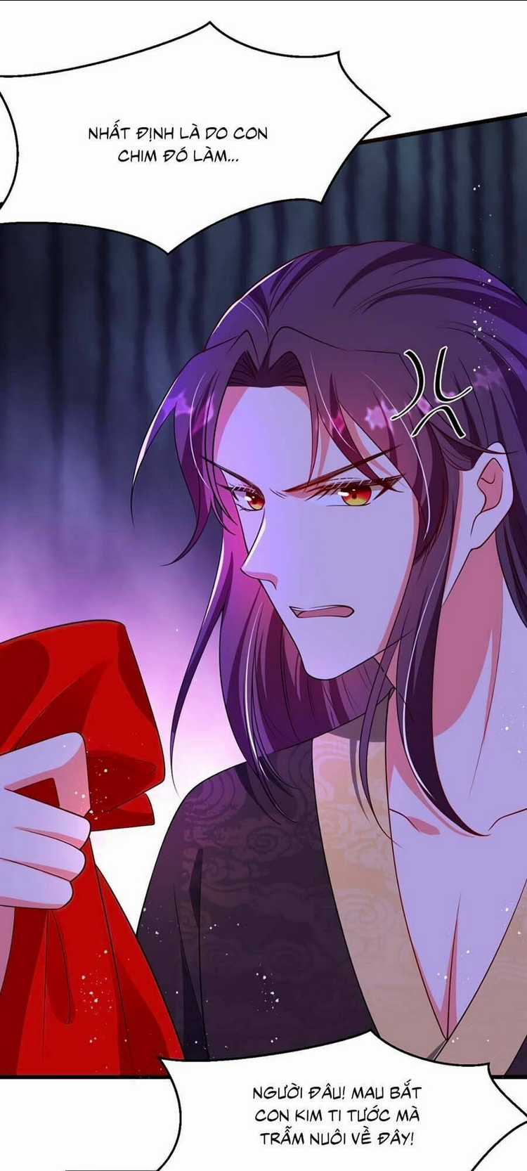 Ngã Tại Hậu Cung Đương Đại Lão Chapter 5 trang 22