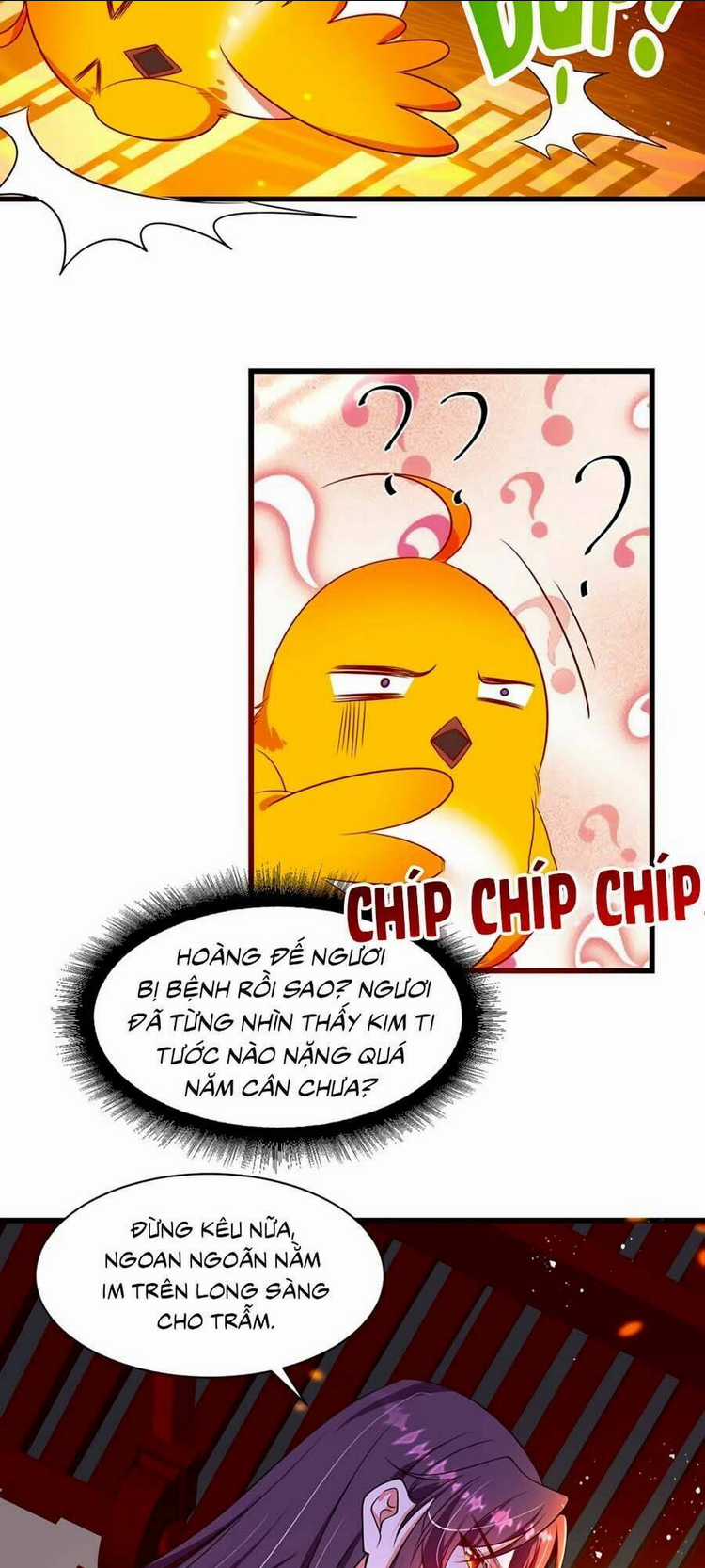 Ngã Tại Hậu Cung Đương Đại Lão Chapter 5 trang 5