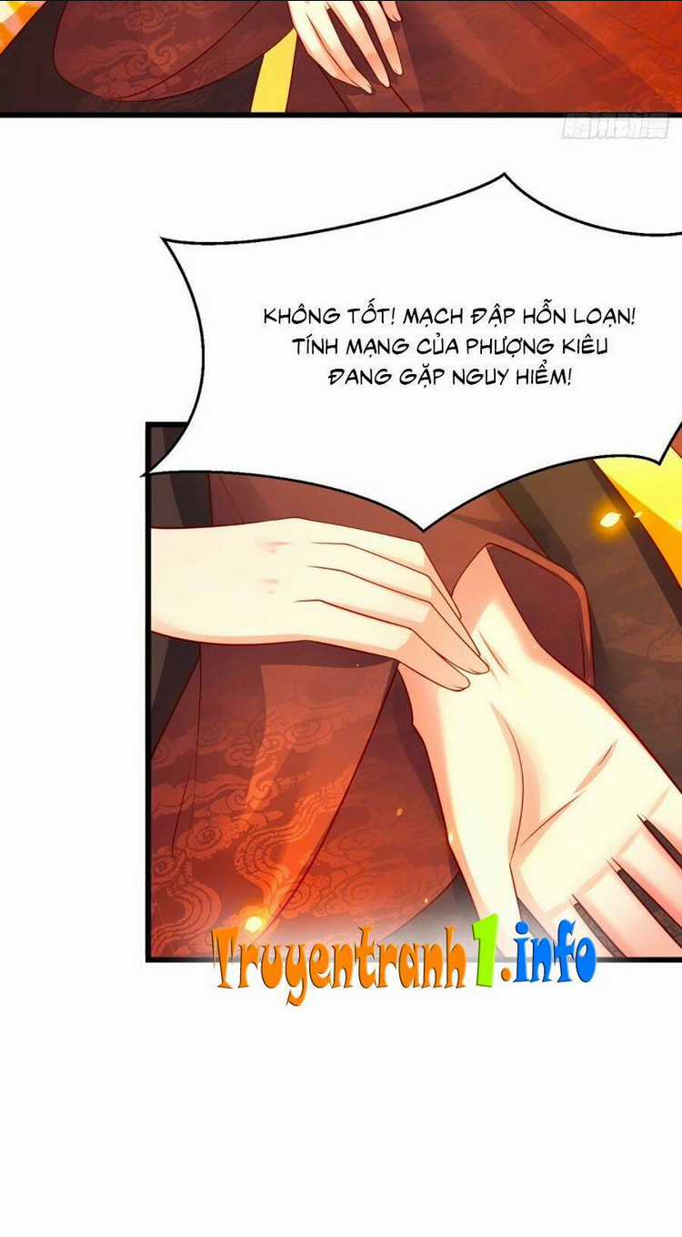 Ngã Tại Hậu Cung Đương Đại Lão Chapter 8 trang 7