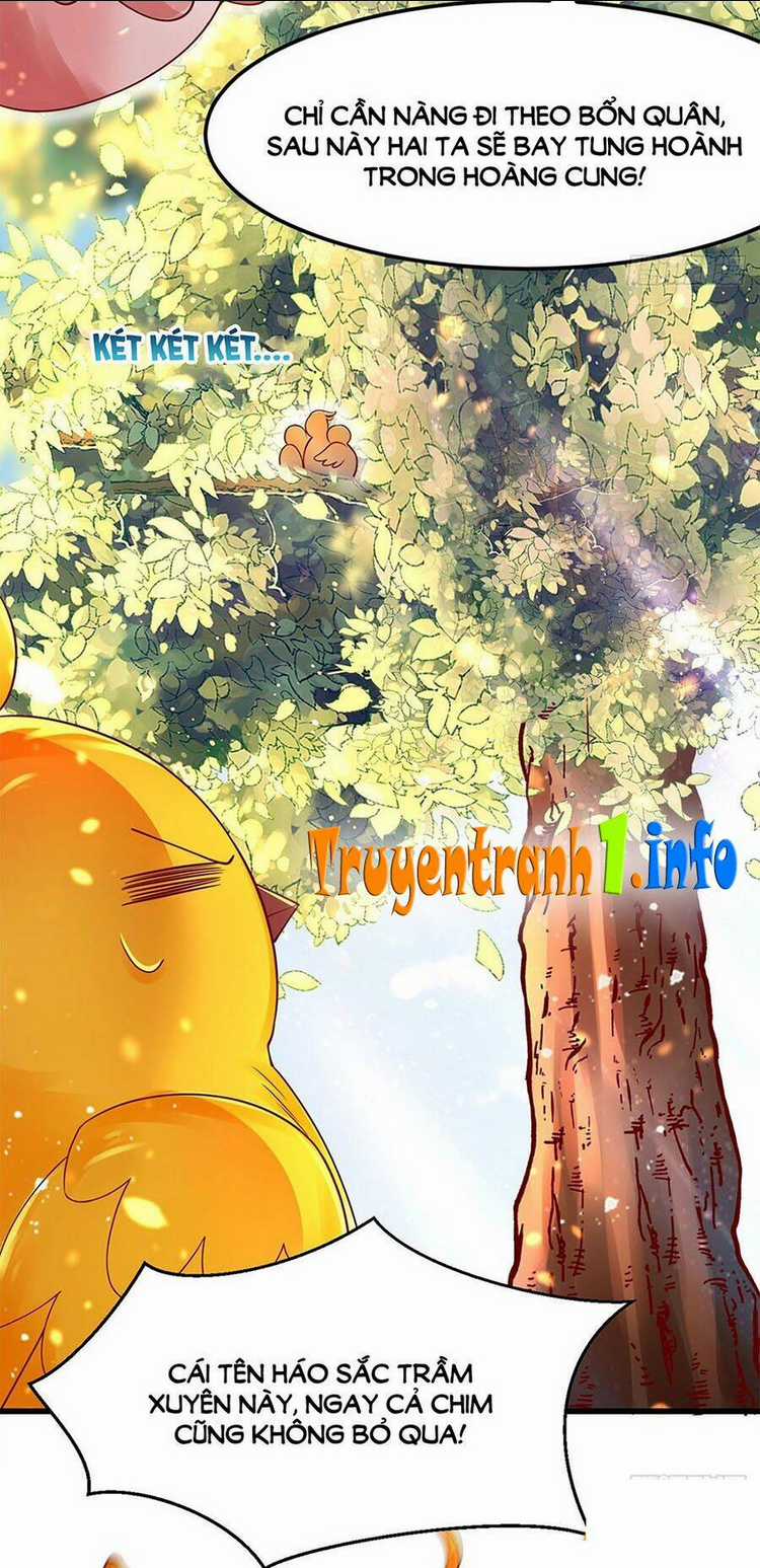 Ngã Tại Hậu Cung Đương Đại Lão Chapter 9 trang 12