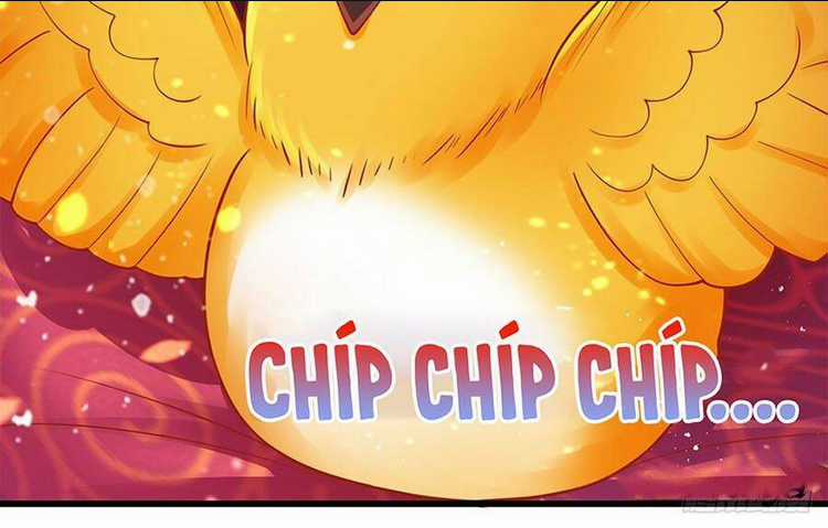 Ngã Tại Hậu Cung Đương Đại Lão Chapter 9 trang 9